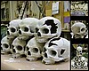 Skulls.jpg