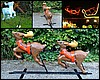 Reindeer.jpg